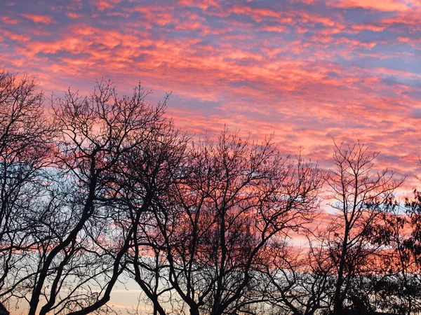 Doğudaki Gökyüzünün Kırmızımsı Tonu Şafak — Stok fotoğraf