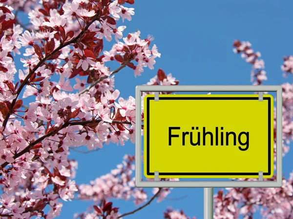 Road Sign Fruehling Translation Spring Front Tree Blossoms Blue Sky — Foto Stock