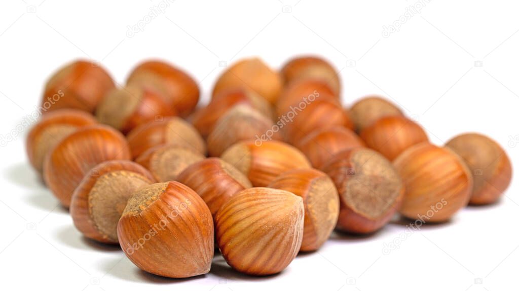 Hazelnuts isolated against a white background