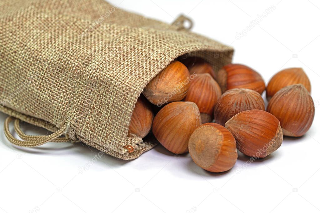 Hazelnuts in a jute bag against a white background