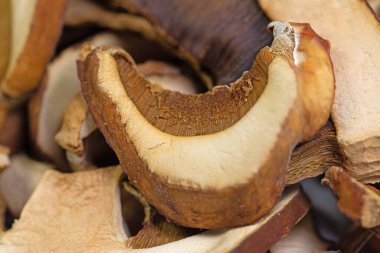 Yakından bakınca kurutulmuş mantar mantarı.