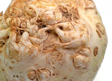 Celeriac, Apium graveolens, against white background