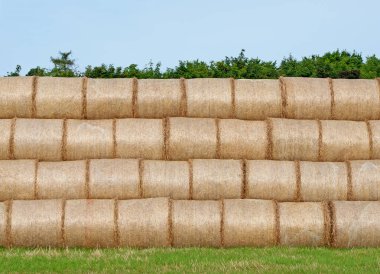 Tarlanın kenarına saman balyaları yığılmış.