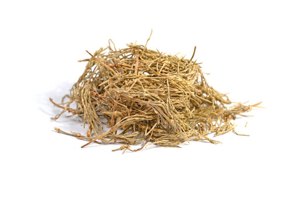 Dried horsetail against a white background