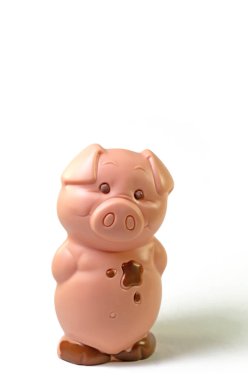 Beyaz arka planda çikolatalı domuz