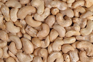 Kaju fıstığı Close-Up