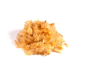 Beyaz arkaplana karşı uçak ağacı tohumları