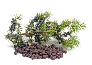 Beyaz arka planda kurumuş ardıç meyveleri