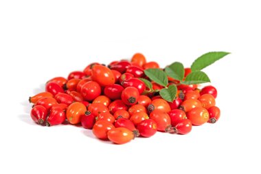 Beyaz arka planda gül kalçalar