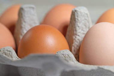 Ambalajda kahverengi tavuk yumurtası