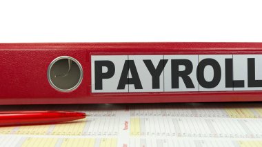 Dosya dizini etiketli Bordro