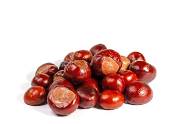 Beyaz arka planda at kestaneleri
