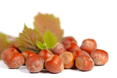 Beyaz arka planda fındıklar