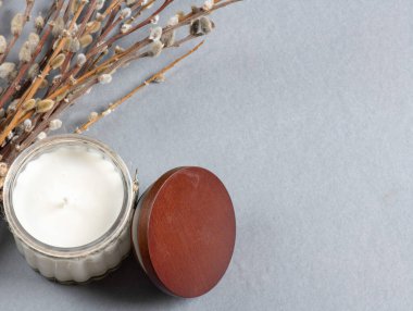 Gri arka planda söğüt dalı ve böbrekler