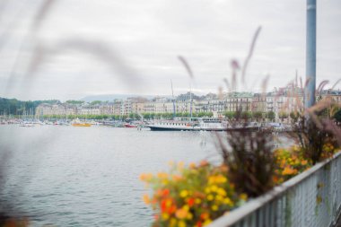 Çiçek fotoğrafının yakın çekimi.