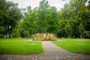 Büyük yeşil bir park Yüksek kalite fotoğraf