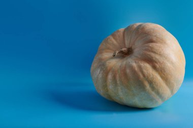 Mavi arka planda büyük turuncu balkabağı