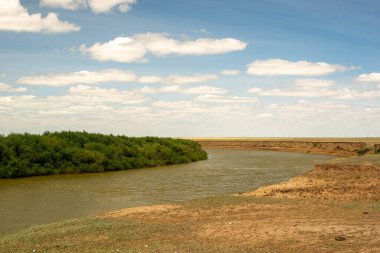 Bir su kütlesinin üzerinde bir köprü