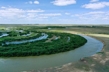 Yeşilliklerle dolu bir araziye yakın çekim