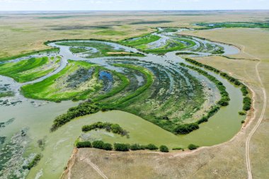 Büyük yeşil bir alan Yüksek kaliteli fotoğraf