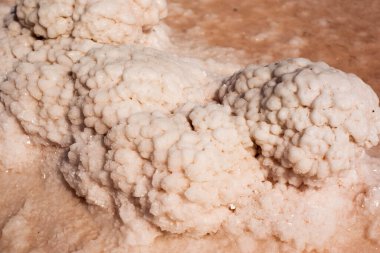 Pembe tuzlu göl tuzlu fotoğrafının yakın çekimi.