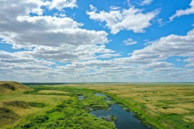 Nehrin perspektifi ve yemyeşil bir alana yakın çekim