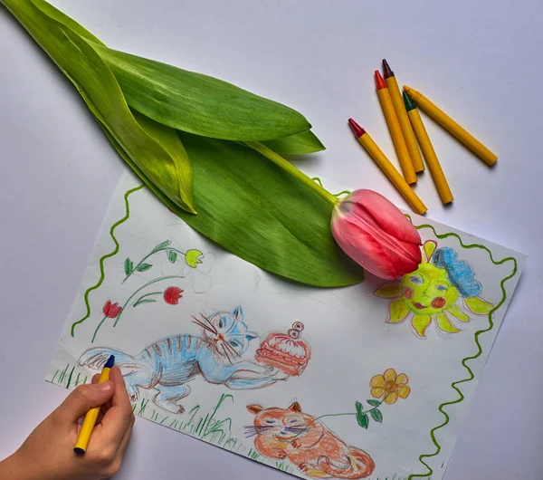 Rysunek tulipanów i wiosennych dzieci z końcówkami filcowymi na białym papierze — Zdjęcie stockowe