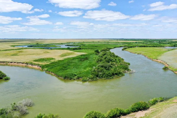 Річка в степу зеленої трави Казахстану. — стокове фото