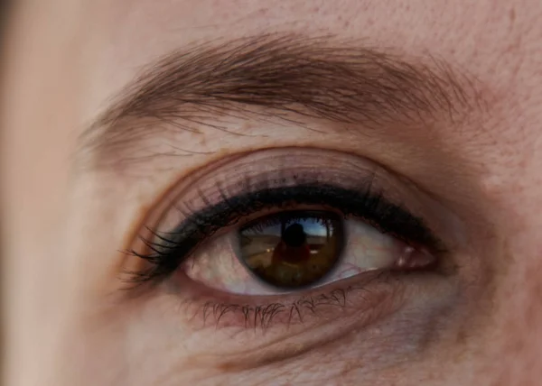 Близкое фото одного красивого кариго глаза — стоковое фото