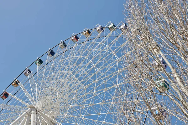 Η μεγαλύτερη ρόδα Ferris στέκεται στο πάρκο — Φωτογραφία Αρχείου