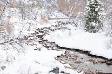 Kış ormanlarında nehir soğuktur karda.