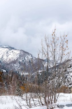 Almaty şehrindeki güzel kış dağ manzarası