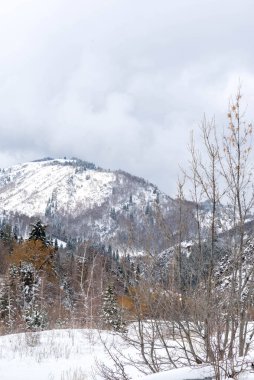 Almaty karla kaplı yüksek dağlar