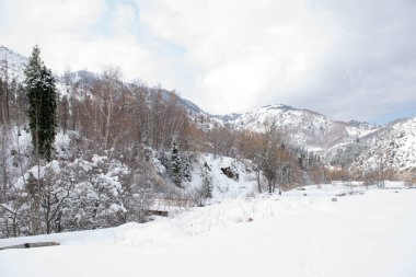 Kışın kardaki yüksek dağlar