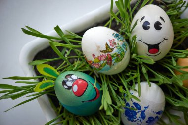 havalı mavi kulaklı paskalya yumurtası