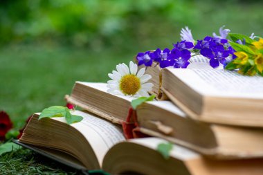 Bir papatya çayı, açık bir alanda kitapların üzerinde yatıyor.