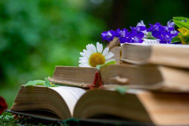 Güzel papatya çiçekleri açık bir düzlükte kitapların üzerinde yatıyor.