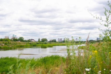 Kazakistan 'daki İshim Nehri manzarası