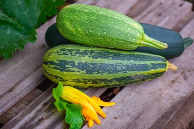 Tahtada üç kabak yatıyor.