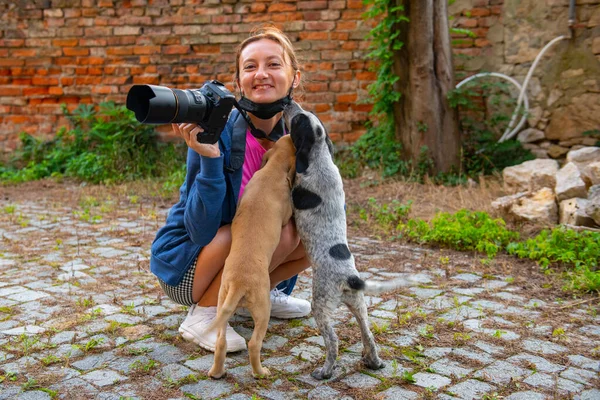 Küçük güzel yavrular fotoğrafçıyı yalıyor.