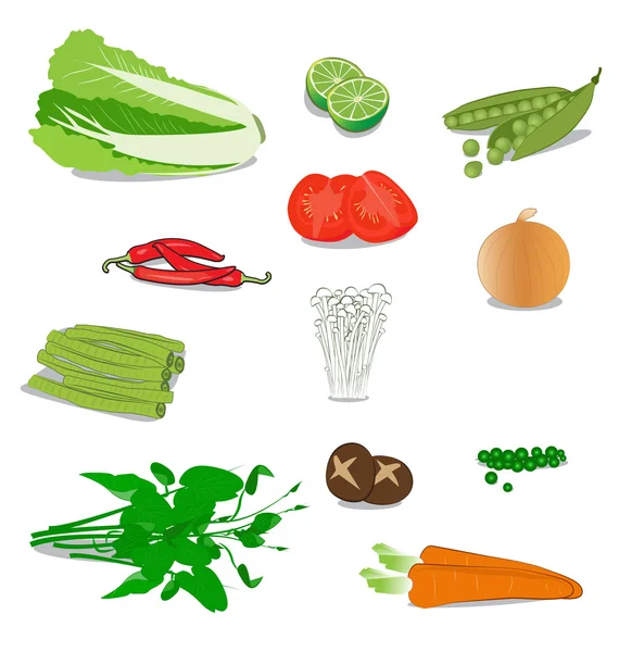 Vegetable — Stock Vector