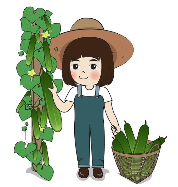Çiftlik hasat salatalık — Stok Vektör