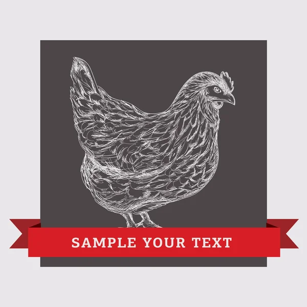 Chicken illustration. — Stock Vector