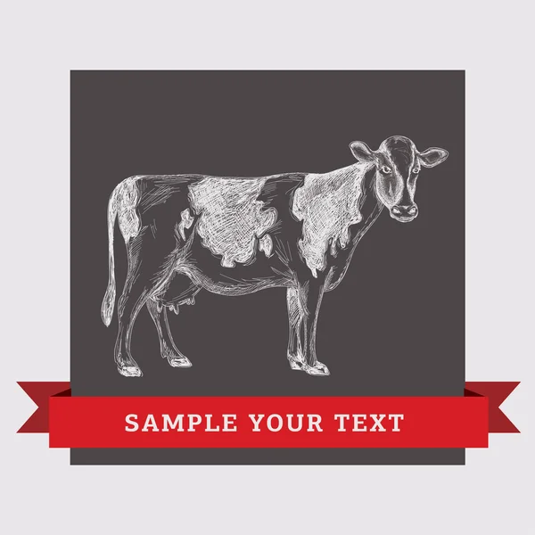 Cow illustration. — Stock Vector