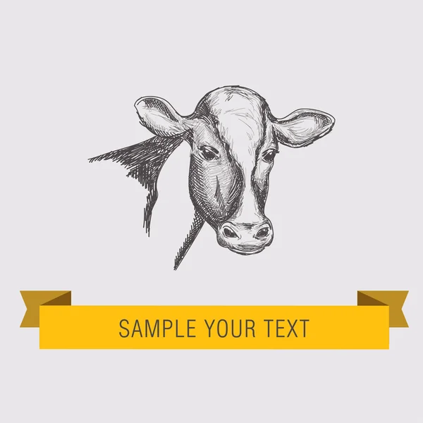 Cow illustration. — Stock Vector