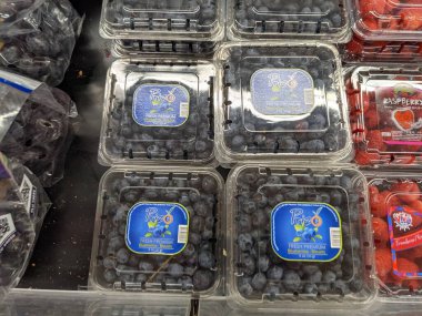 Satın Almak İçin Çeşitli Yabanmersinleri