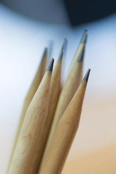 lead pencils in metal pot
