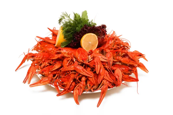 Kırmızı haşlanmış kerevit ve otlar ile plaka
