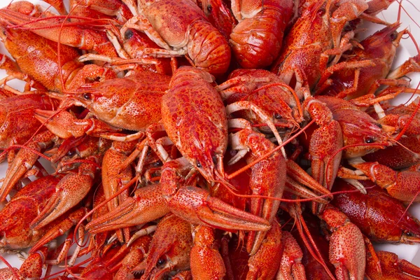 Plate with red boiled crayfish and herbs — Stock Photo, Image