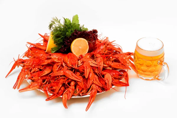 Kırmızı haşlanmış kerevit ve otlar ile plaka